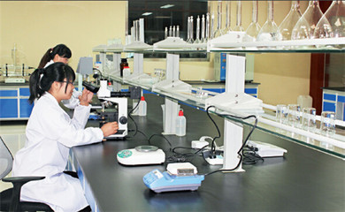 英科醫(yī)療再獲麥克森大獎，引領(lǐng)醫(yī)療器械互聯(lián)網(wǎng)信息服務(wù)新篇章