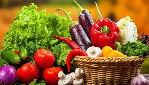 垃圾分類(lèi)新潮流 苗木廢棄物如何處理？生活垃圾分類(lèi)實(shí)用小妙招