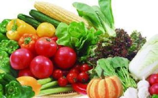 山西科普惠農(nóng)特色優(yōu)質(zhì)農(nóng)產(chǎn)品展銷(xiāo)會(huì)盛大開(kāi)幕，花卉產(chǎn)業(yè)綻放異彩